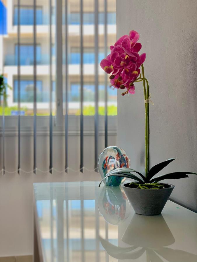 شقة Diana Townhouse 1 بافوس المظهر الخارجي الصورة